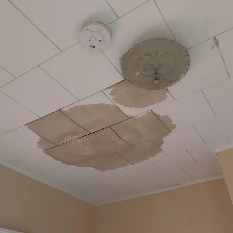Ceiling Water Damage Repair in Evansdale, IA