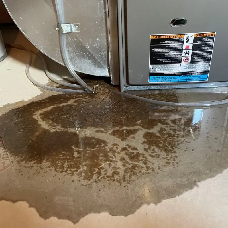 Pipe Burst and Leak Restoration in Evansdale, IA
