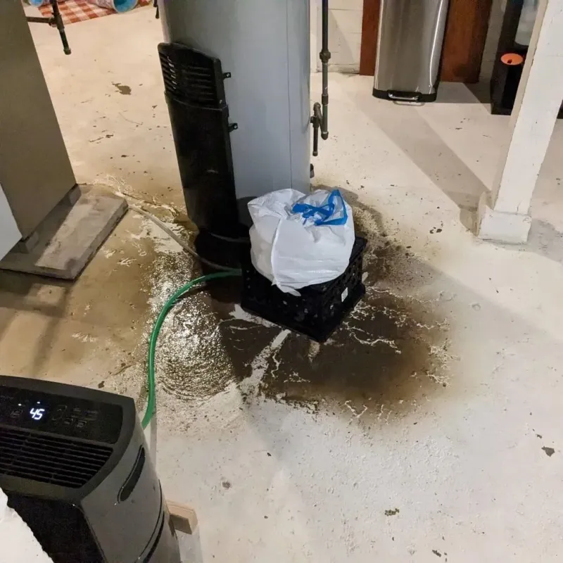 Sewage Backup Cleanup Service in Evansdale, IA